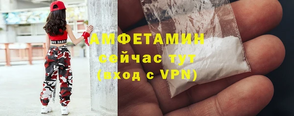 прущие грибы Баксан