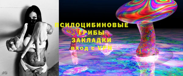 прущие грибы Баксан