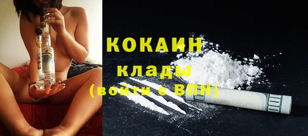 прущие грибы Баксан