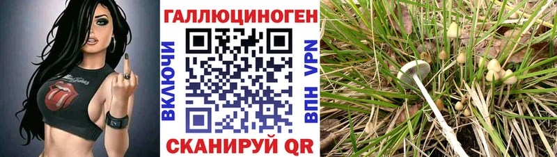 Галлюциногенные грибы Cubensis даркнет сайт Краснокаменск